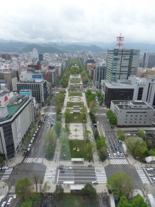 View from Sapporo TV Tower